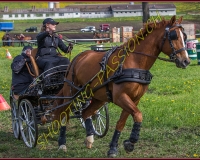 1POSIEUX 0432